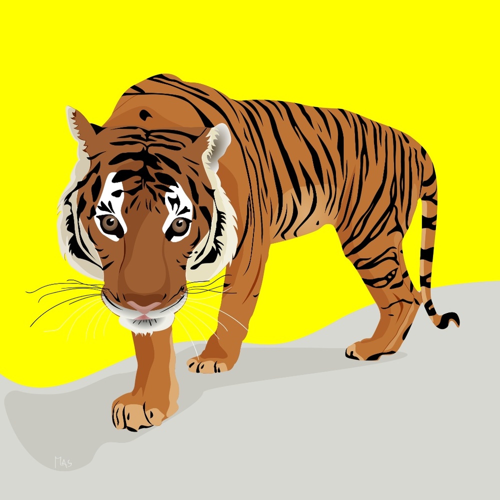 The king of the jungle - The Tiger